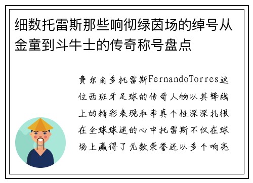 细数托雷斯那些响彻绿茵场的绰号从金童到斗牛士的传奇称号盘点