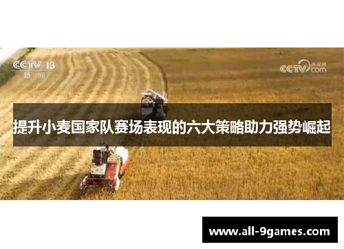 提升小麦国家队赛场表现的六大策略助力强势崛起